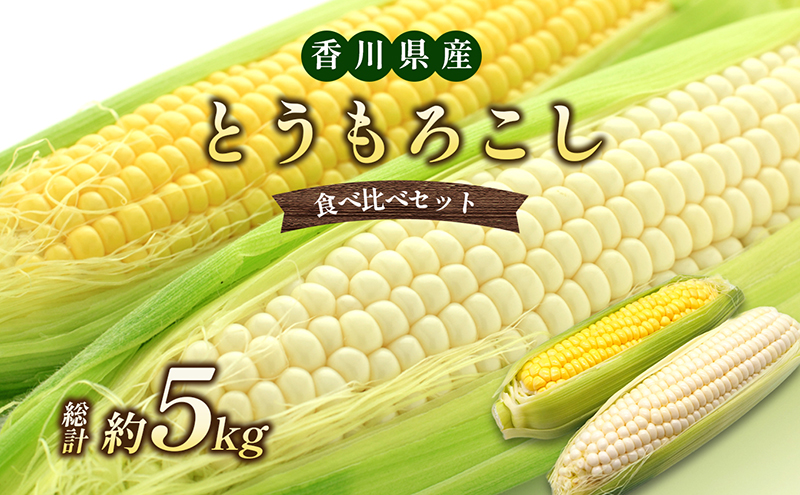 とうもろこし コーン 食べ比べ セット 詰合せ 2種 イエローコーン 約3kg 8から12本 ホワイトコーン 約2kg 5から8本 約5kg 甘い 真っ白 玉蜀黍 とうきび 詰め合わせ 野菜 家庭用 五色青果 香川県 東かがわ市 46312382