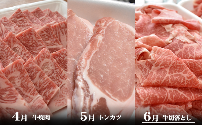 香川県産　オリーブ牛、豚　1kg　定期便（1月～6月） お肉 すき焼き用 しゃぶしゃぶ用 焼肉用 とんかつ用 切り落とし 