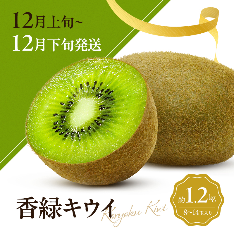 キウイ 定期便 3ヶ月 3回 キウイフルーツ 香川県産 讃岐 さぬき 約1.2kg 約1kg さぬきゴールドキウイ さぬきキウイっこ 香緑キウイ ゴールドキウイ 果物 フルーツ くだもの 10月発送 11月発送 12月発送 連続お届け 香川県 東かがわ市 46312734