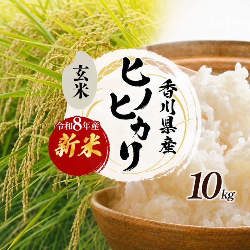 ヒノヒカリ 玄米 10kg 令和8年産 新米 香川県産 さぬき米 ひのひかり 小路農園 お米 玄米ごはん ご飯 おにぎり 主食 奨励品種 小粒 厚み 家族総出 一斉出荷 お弁当 米 甘み 旨み 東かがわ市 46312583◆