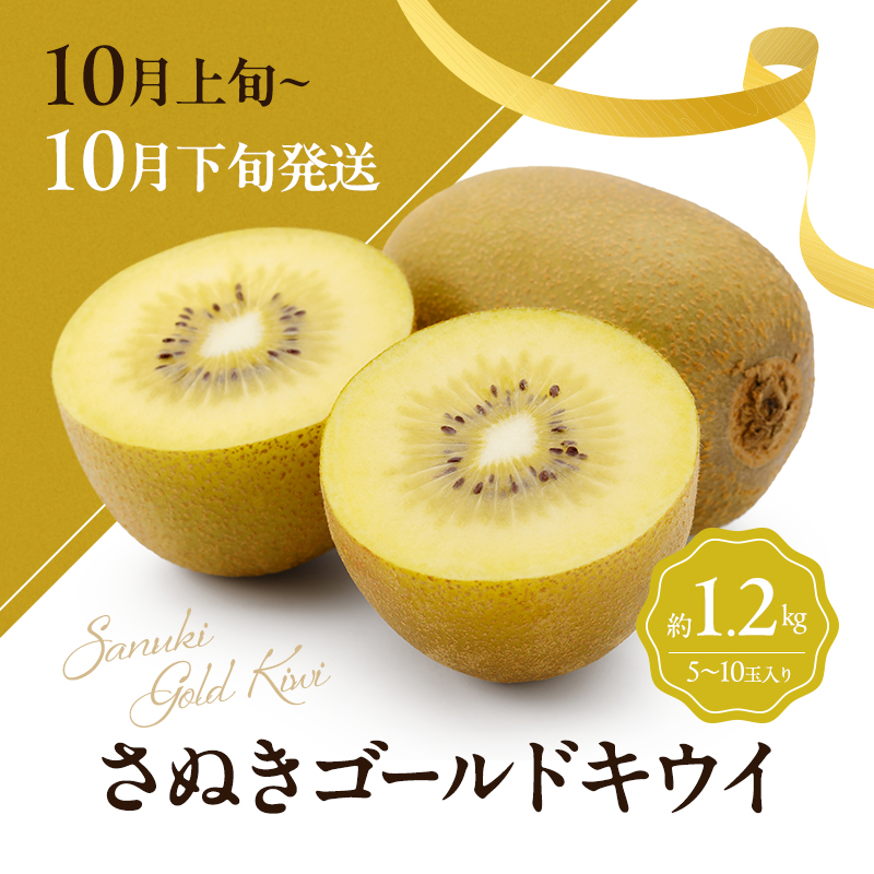 キウイ 定期便 3ヶ月 3回 キウイフルーツ 香川県産 讃岐 さぬき 約1.2kg 約1kg さぬきゴールドキウイ さぬきキウイっこ 香緑キウイ ゴールドキウイ 果物 フルーツ くだもの 10月発送 11月発送 12月発送 連続お届け 香川県 東かがわ市 46312734