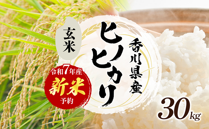 「食卓応援品」令和7年産「ヒノヒカリ」30kg（玄米） お米 30kg