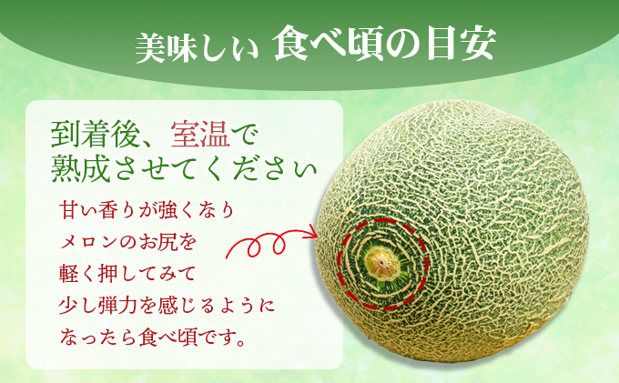 幸せの「タカミメロン」3玉～4玉（約2kg以上） フルーツ 果物 