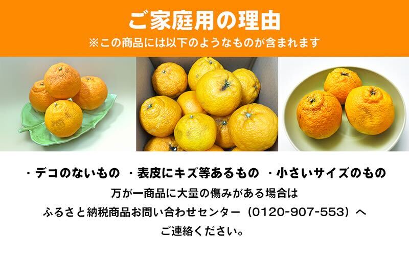 ご家庭用しらぬひ 約３kg デコポン フルーツ 果物類 みかん 柑橘類 