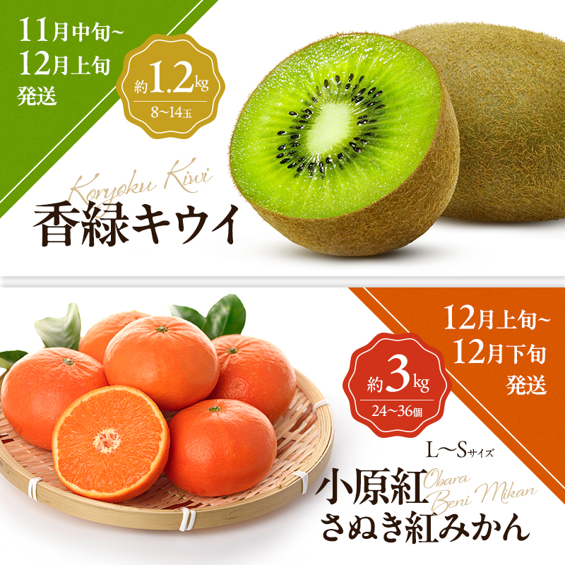 「生活応援企画！」讃岐のフルーツ6回定期便【C】【さぬきひめ苺】【デコポン】【桃】【シャインマスカット】【香緑キウイ】【小原紅(さぬき紅みかん)】