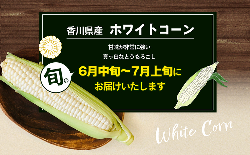 とうもろこし ホワイトコーン 白いとうもろこし 約2.5kg 6から10本 甘い ジューシー スイートコーン コーン 玉蜀黍 焼きとうもろこし コーンスープ バーベキュー 野菜 冷蔵 五色青果 香川県 東かがわ市 46311933