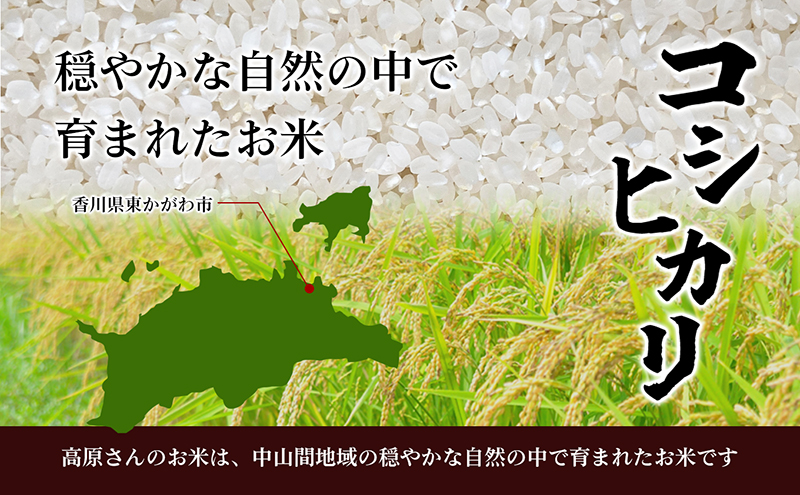 コシヒカリ 精米 6kg 3kg × 2袋 令和8年産 香川県産 国産 令和8年 米 こしひかり 健康食 炊きやすい おいしいお米 お米の代表格 6キロ 3キロ 小分け ご飯 ごはん 国産米 東かがわ市産 精白米 ブランド米 お米 白米 香川 香川県 東かがわ市 46312558◆