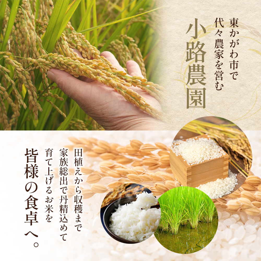 令和8年産　新米「コシヒカリ」10kg（玄米）  お米 10kg 