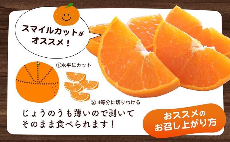 【数量限定 今季最終受付】愛媛県産せとか（ハウス）約2.7kg[50R0846] 【高島屋選定品】L～３Lサイズ 1月下旬頃～順次発送＜旬 化粧箱 ギフト 高級 甘い みかん    フルーツ＞[No.53030334]