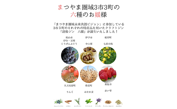 道後ジン 六媛・トニックセット（G6-500） お酒 晩酌 家飲み 宅飲み 愛媛県産素材 ボタニカル 華やかな香り 香ばしい香り キレ のかな甘み トニックウォーター 