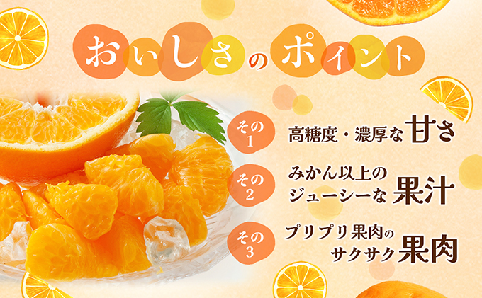 【数量限定 先行予約】愛媛県産 はるみ 約5kg[50R0824] 【高島屋選定品】秀M～２Lサイズ 1月下旬頃～順次発送＜ギフト 高級 甘い みかん フルーツ＞[No.53030335]
