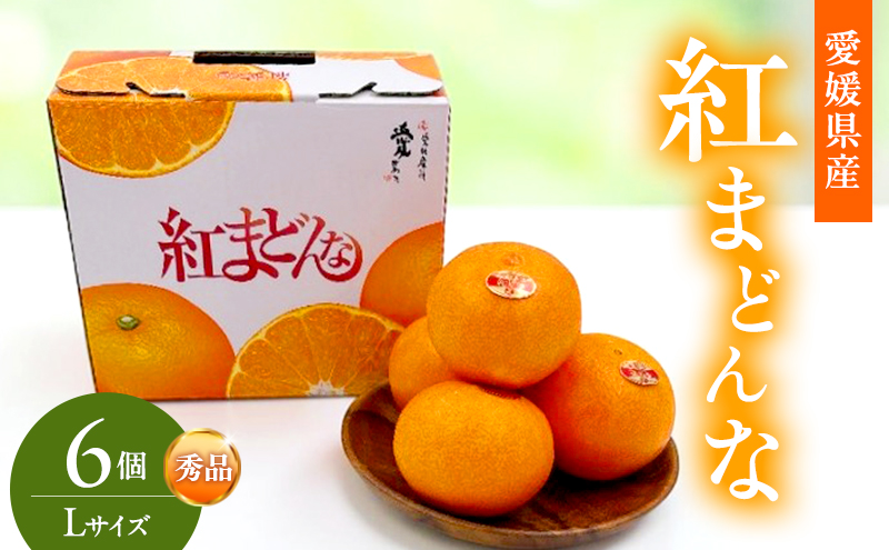 紅まどんな 秀品 Lサイズ 6個 果物 フルーツ 柑橘 柑橘類 国産 愛媛