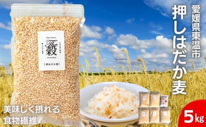 押しはだか麦5kgセット もち麦 お徳用 愛媛 食物繊維 5袋 