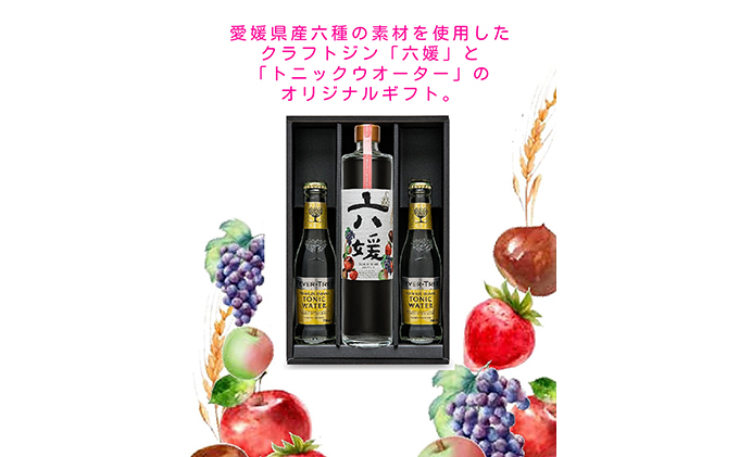 道後ジン 六媛・トニックセット（G6-500） お酒 晩酌 家飲み 宅飲み 愛媛県産素材 ボタニカル 華やかな香り 香ばしい香り キレ のかな甘み トニックウォーター 