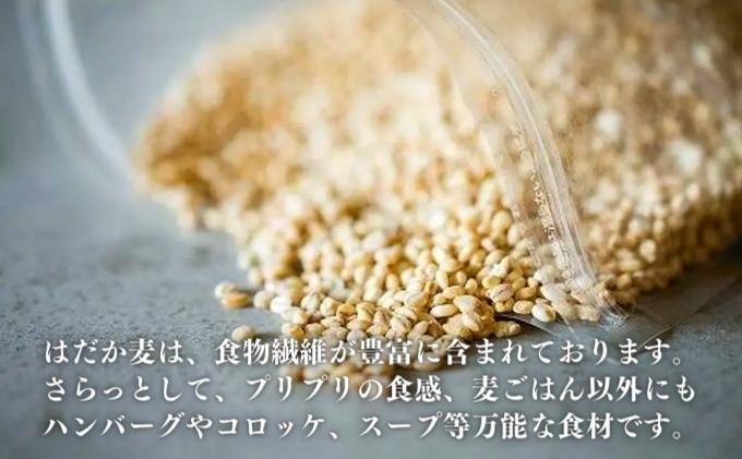 押しはだか麦1kg 食物繊維豊富 食物繊維 食感 プチプチ あっさり 麦ごはん 食品 食べ物 ご飯 おにぎり お弁当 主食 毎日 炭水化物 国産 日本産 愛媛県産 東温市産 直送 産地直送 