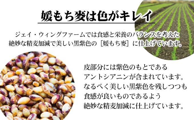 媛もち麥1kg／もち麦 麦ごはん 雑穀 食物繊維豊富 食物繊維 もちもち プリプリ 食感 食品 食べ物 ご飯 おにぎり お弁当 主食 毎日 炭水化物 国産 日本産 愛媛県産 東温市産 直送 産地直送 