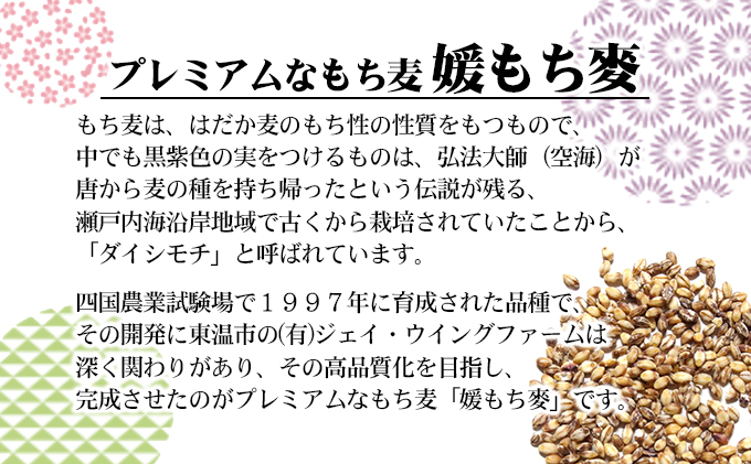 媛もち麥1kg／もち麦 麦ごはん 雑穀 食物繊維豊富 食物繊維 もちもち プリプリ 食感 食品 食べ物 ご飯 おにぎり お弁当 主食 毎日 炭水化物 国産 日本産 愛媛県産 東温市産 直送 産地直送 