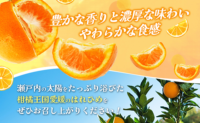 【数量限定 先行予約】愛媛県産 はれひめ 約5kg[50R0813] 【高島屋選定品】M～2L サイズ＜ギフト 甘味 濃厚 みかん フルーツ＞[No.53030336]