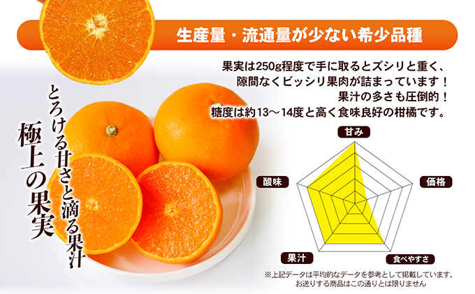 露地せとか　赤秀・青秀　約5kg 果物類 みかん 柑橘 フルーツ 食後 デザート ジューシー 甘い コク 香り 国産 愛媛県産 愛媛県産せとか 