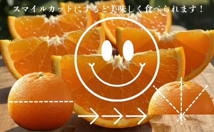 【 かんきつ 3種 定期便 】アレンユーレカ種 レモン ・ せとか ・ いよかん 各約1.5kg　ご家庭用 サイズお任せ 旬 農園直送 産地直送 フルーツ 果物 くだもの 柑橘 愛媛県 東温市