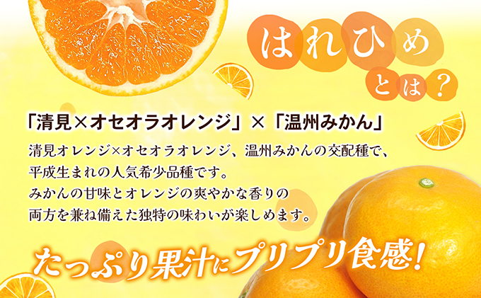 【数量限定 先行予約】愛媛県産 はれひめ 約5kg[50R0813] 【高島屋選定品】M～2L サイズ＜ギフト 甘味 濃厚 みかん フルーツ＞[No.53030336]
