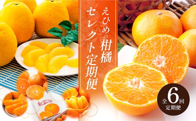 えひめの柑橘セレクト6回定期便　