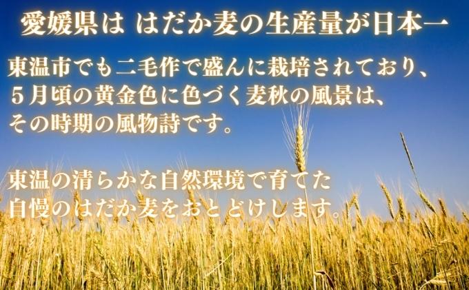 押しはだか麦1kg 食物繊維豊富 食物繊維 食感 プチプチ あっさり 麦ごはん 食品 食べ物 ご飯 おにぎり お弁当 主食 毎日 炭水化物 国産 日本産 愛媛県産 東温市産 直送 産地直送 