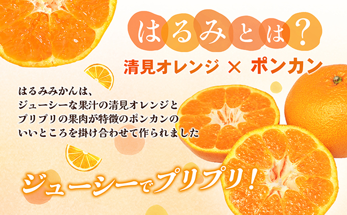 【数量限定 先行予約】愛媛県産 はるみ 約5kg[50R0824] 【高島屋選定品】秀M～２Lサイズ 1月下旬頃～順次発送＜ギフト 高級 甘い みかん フルーツ＞[No.53030335]