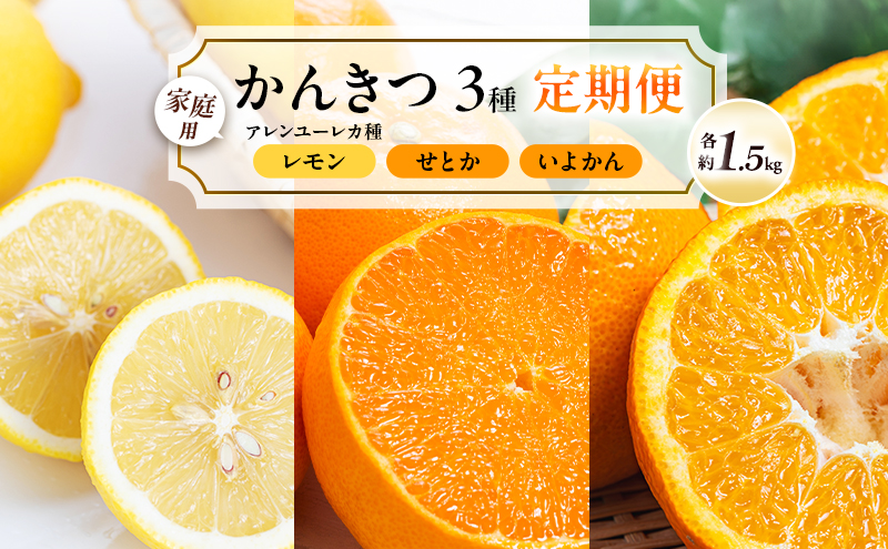 【 かんきつ 3種 定期便 】アレンユーレカ種 レモン ・ せとか ・ いよかん 各約1.5kg　ご家庭用 サイズお任せ 旬 農園直送 産地直送 フルーツ 果物 くだもの 柑橘 愛媛県 東温市