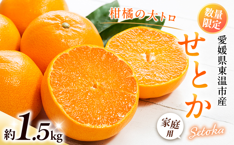 せとか 約1.5kg ご家庭用 サイズお任せ 今が旬 農園直送 みかん 人気 数量限定 先行予約 柑橘 蜜柑 ミカン 愛媛みかん かんきつ 国産 愛媛県