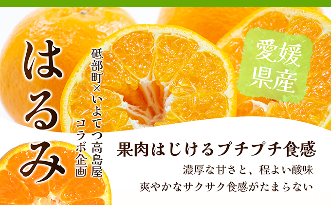 【数量限定 先行予約】愛媛県産 はるみ 約5kg[50R0824] 【高島屋選定品】秀M～２Lサイズ 1月下旬頃～順次発送＜ギフト 高級 甘い みかん フルーツ＞[No.53030335]