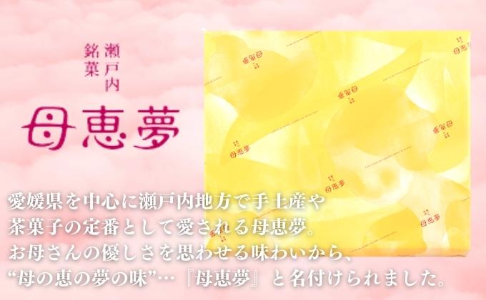 瀬戸内銘菓 母恵夢 9個入　ポエム 手土産 贈答 ギフト お菓子 スイーツ 和菓子 茶菓子 