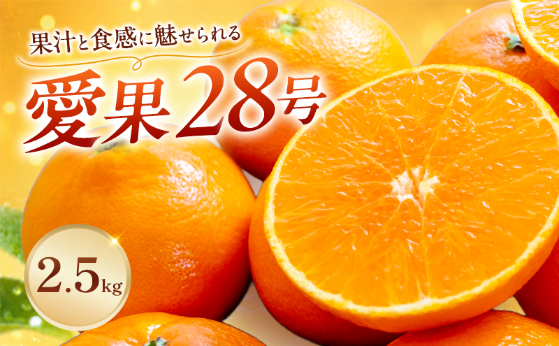 愛果28号 約2.5kg 東温市産 サイズお任せ 「 紅まどんな 」の同一品種（品種名： 愛媛果試28号 ） 今が旬 農園直送 みかん 人気 数量限定 先行予約 愛媛みかん かんきつ 愛媛県 フルーツ 果物 くだもの 甘い 