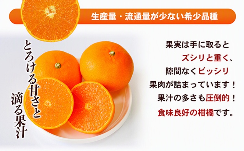 【数量限定 今季最終受付】愛媛県産せとか（ハウス）約2.7kg[50R0846] 【高島屋選定品】L～３Lサイズ 1月下旬頃～順次発送＜旬 化粧箱 ギフト 高級 甘い みかん    フルーツ＞[No.53030334]