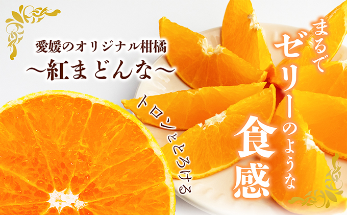 【数量限定 先行予約】愛媛県産 紅まどんな2.7kg[50R0986]【高島屋選定品】青秀 M～３Lサイズ（10～16玉）12月上旬頃～順次発送 ＜ギフト 正規品 甘い みかん フルーツ＞[No.53030337]