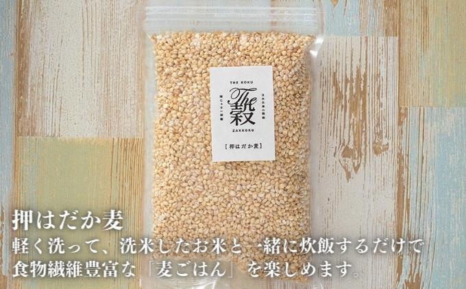 押しはだか麦5kgセット もち麦 お徳用 愛媛 食物繊維 5袋 