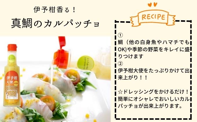 お土産人気NO1！！ 愛媛の伊予柑大使4本セット 調味料 ドレッシング サラダ いよかん 愛媛産 カルパッチョ 