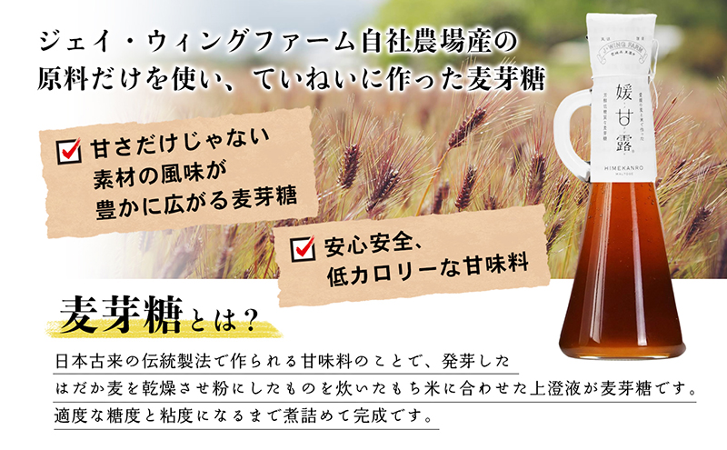 媛甘露（白米） 加工食品 調味料 麦芽糖 安心 安全 低カロリー 甘味料 シロップタイプ 上品な甘み お菓子作り 料理 