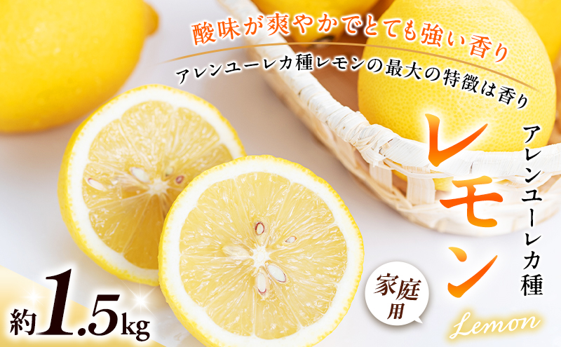 ご家庭用アレンユーレカ種レモン1.5ｋｇご家庭用 サイズお任せ 今が旬 農園直送 れもん 人気 数量限定 先行予約 柑橘 愛媛みかん かんきつ 国産 愛媛県