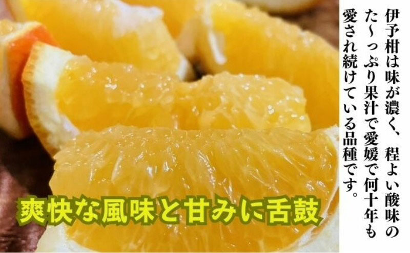 【 かんきつ 3種 定期便 】アレンユーレカ種 レモン ・ せとか ・ いよかん 各約1.5kg　ご家庭用 サイズお任せ 旬 農園直送 産地直送 フルーツ 果物 くだもの 柑橘 愛媛県 東温市