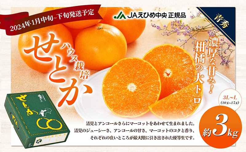 東温市おすすめ定期便Aセット【数量限定】