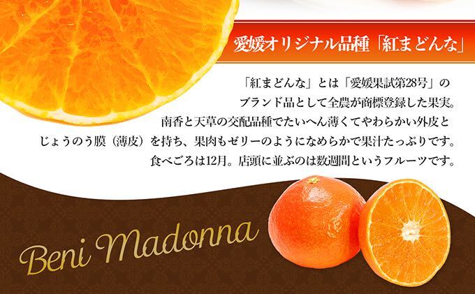 【数量限定 先行予約】愛媛県産 紅まどんな2.7kg[50R0986]【高島屋選定品】青秀 M～３Lサイズ（10～16玉）12月上旬頃～順次発送 ＜ギフト 正規品 甘い みかん フルーツ＞[No.53030337]