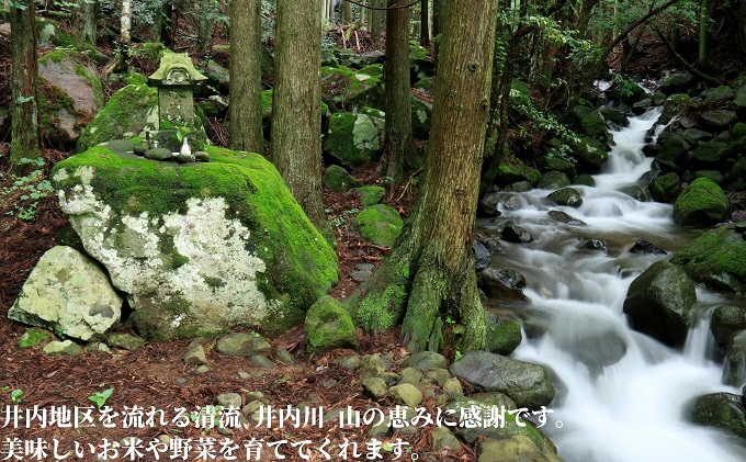 どぶろくながい  甘口・中辛・辛口（3本セット）