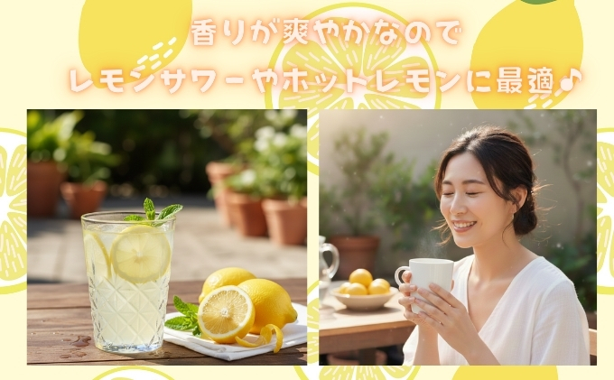 【 かんきつ 3種 定期便 】アレンユーレカ種 レモン ・ せとか ・ いよかん 各約1.5kg　ご家庭用 サイズお任せ 旬 農園直送 産地直送 フルーツ 果物 くだもの 柑橘 愛媛県 東温市