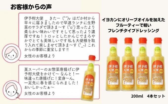 お土産人気NO1！！ 愛媛の伊予柑大使4本セット 調味料 ドレッシング サラダ いよかん 愛媛産 カルパッチョ 