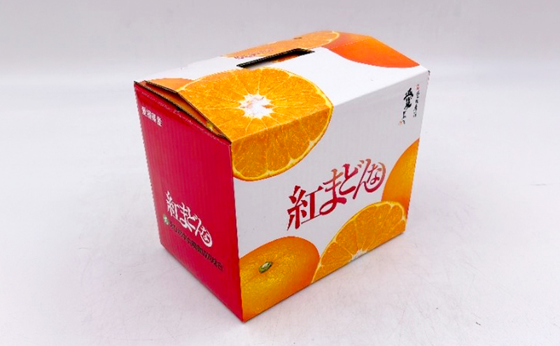 紅まどんな 秀品 Lサイズ 6個 果物 フルーツ 柑橘 柑橘類 国産 愛媛