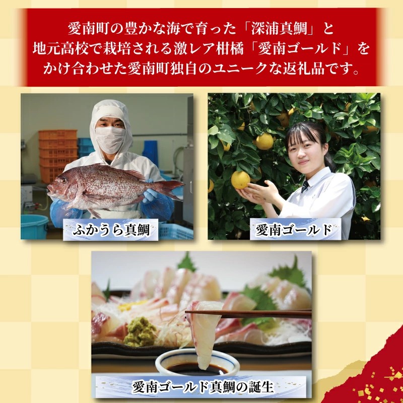 【チョイスアワード大賞受賞】【ESSEグランプリ金賞受賞】 訳あり 愛南ゴールド 真鯛 合計約 500g 刺身用柵 ＋ 鯛カマ 塩 オリーブオイル ソース 付き タイ 河内晩柑 みかん 柑橘 不揃い 小分け 真空パック 鯛 新鮮 海鮮 魚介 鮮魚 養殖 カマ 皮引き 柵 柑橘 10000円 刺身 刺し身 さしみ しゃぶしゃぶ 鯛しゃぶ 寿司 カマ 塩焼き 冷凍 お食い初め ハレの日 お祝いごと ハマスイ 愛南町 愛媛県