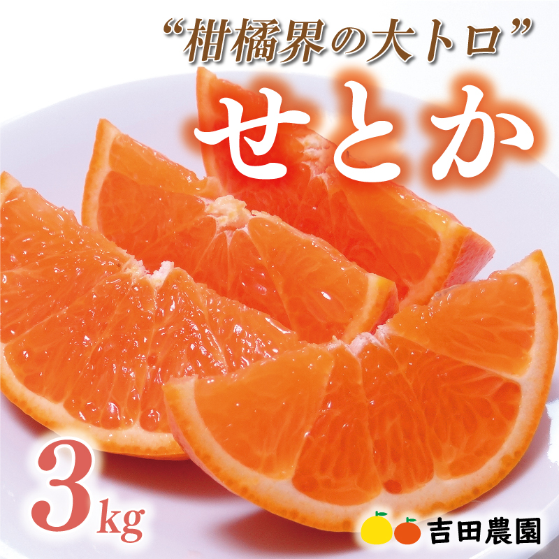 【先行予約】数量限定  訳あり せとか 3kg みかん 家庭用 サイズミックス 14000円 高級 人気 ブランド プレミアム 柑橘 果物 フルーツ 期間限定 産地直送 国産 農家直送 わけあり 特産品 お取り寄せ mikan 蜜柑 ミカン オレンジ スマイルカット ビタミン 甘い おいしい 大トロ 不揃い 吉田農園 愛南町 愛媛県