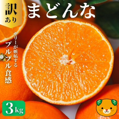 【先行予約：2026年11月20日～発送】訳あり まどんな 3kg 数量限定 愛果28号 紅まどんな 柑橘 かんきつ フルーツ 果物 旬 みかん ミカン 国産 サイズ不揃い 家庭用 おやつ 期間限定 みかん マドンナ 愛媛県 愛南町 愛南町青果市場組合