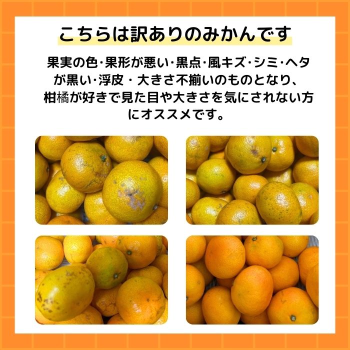 【先行予約】訳あり 愛媛みかん 小玉 10kg 傷み補償 500g 増量 【発送期間 2026年11月上旬～】 みかん 愛媛みかん 温州みかん 南柑20号 柑橘 蜜柑 かんきつ 冬 秋 旬 正月 愛媛 愛媛県 愛南町 お歳暮 プレゼント くだもの 果物 フルーツ スイーツ おやつ お菓子 和菓子 甘い 糖度 オレンジ 冷凍 みかん ジュース 清家ばんかんビレッジ